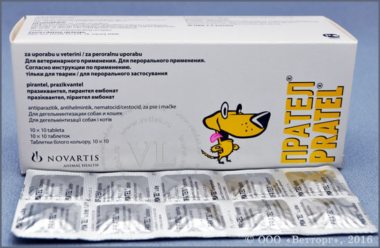 Прател для собак