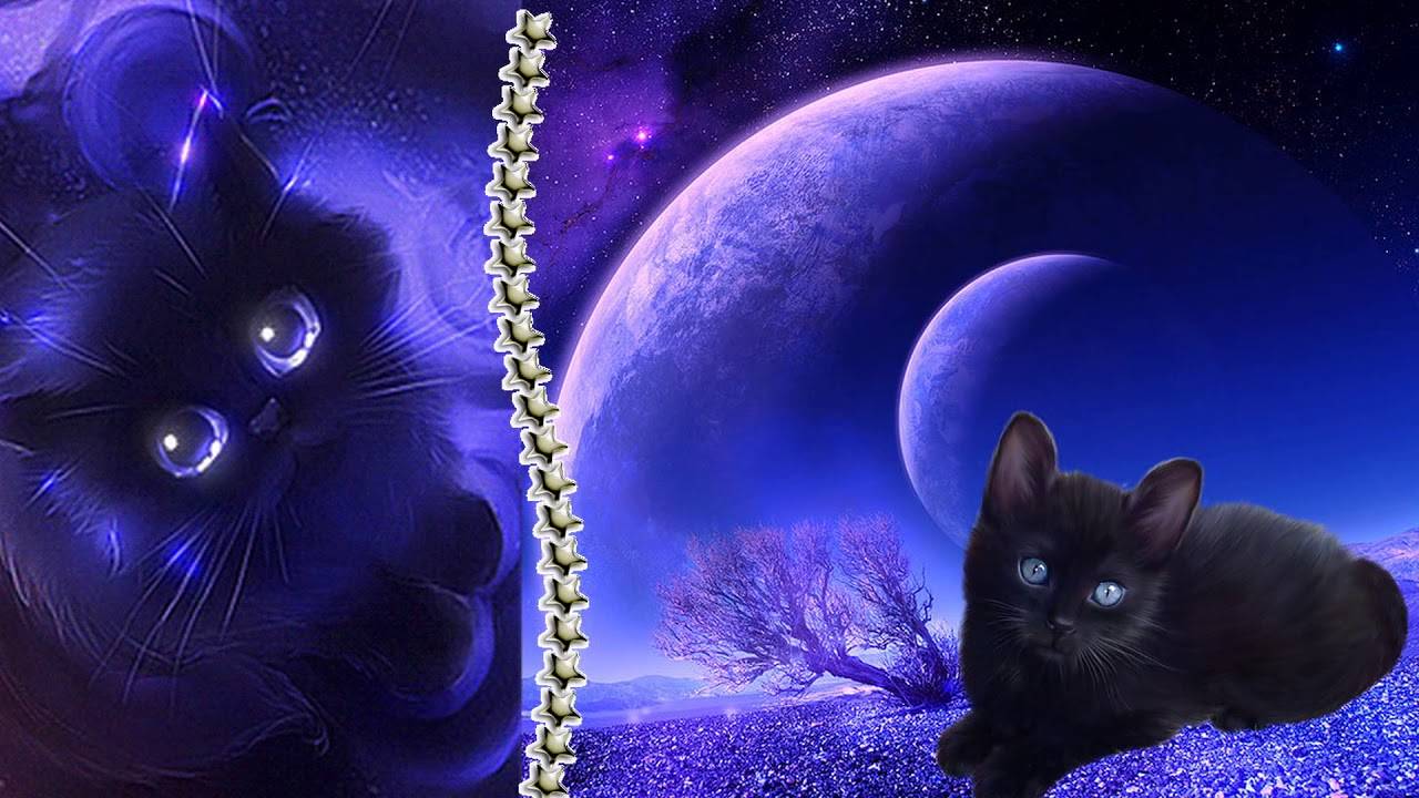 Почему у кошек светятся глаза в темноте: основные причины