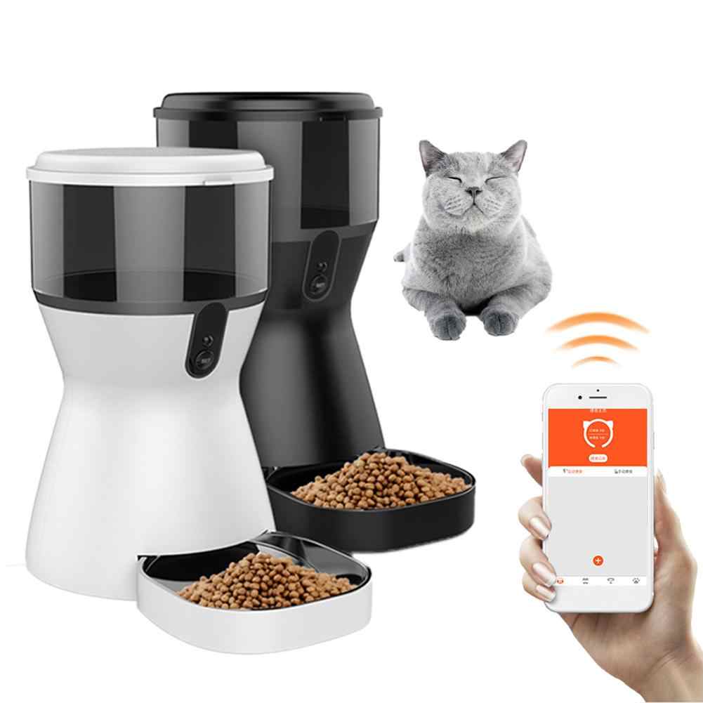 Нас и здесь неплохо кормят: автоматическая кормушка для кота