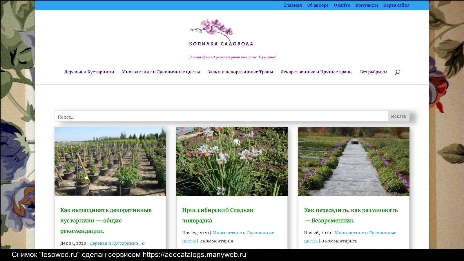 Капли от блох для кошек и котов