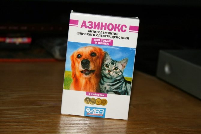 Азинокс для кошек: инструкция по применению