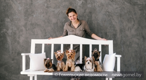 Экспресс линька для собак: как делается в домашних условиях