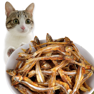 Рыба для кошек — примеры какую можно и нельзя