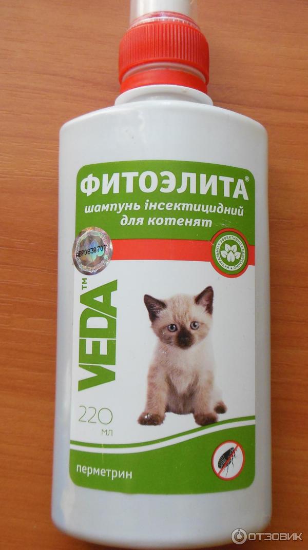 Шампуни от блох для кошек: выбираем и используем правильно