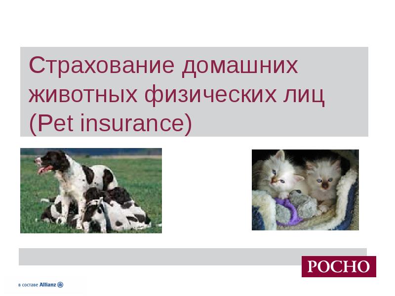 Обязательное страхование животных