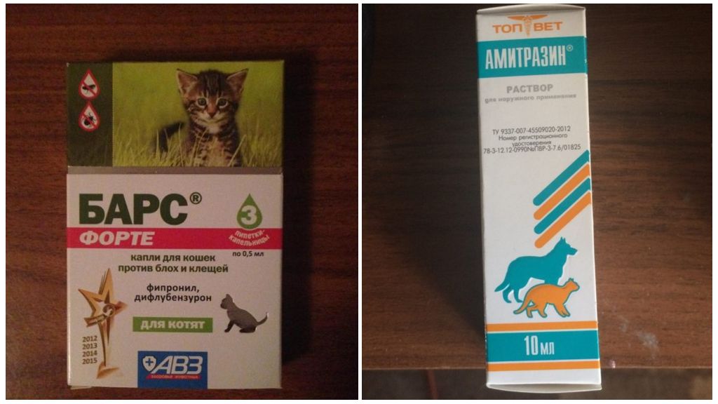 Капли от клещей для кошек: таблетки , средство
