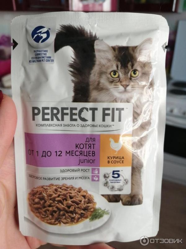 Перфект фит: корм для кошек, сухой и влажный