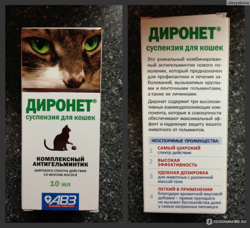 Диронет для кошек: спот-он, инструкция по применению
