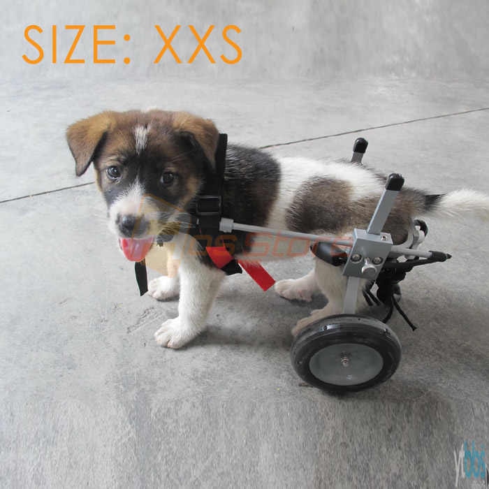 Инвалидная коляска для собак для задних конечностей