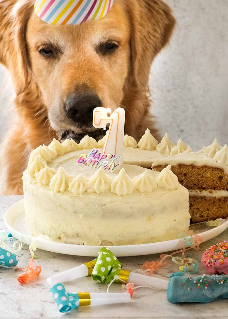 Торт для собаки на день рождения своими руками
