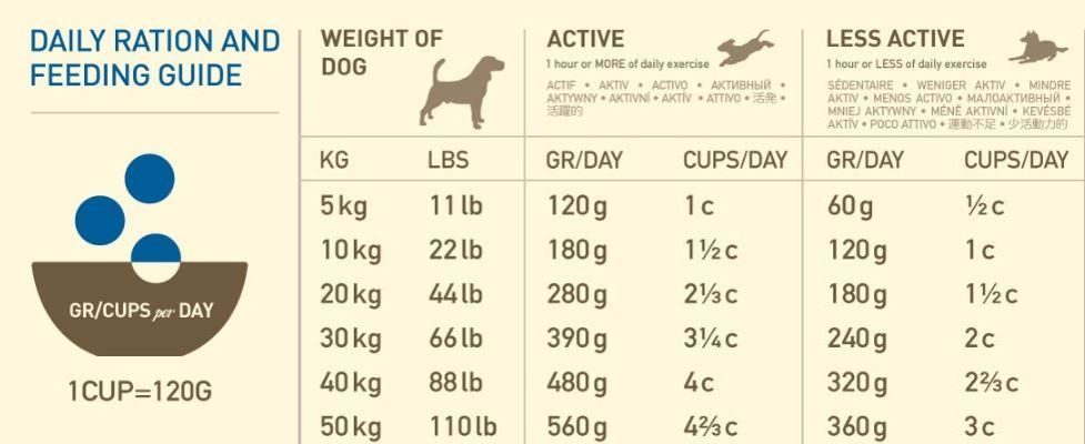 Сколько сухого корма давать собаке в день: таблица