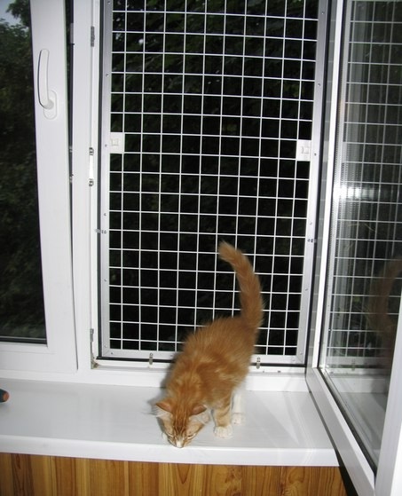 Сетка на окно для кошек для защиты: как выбрать