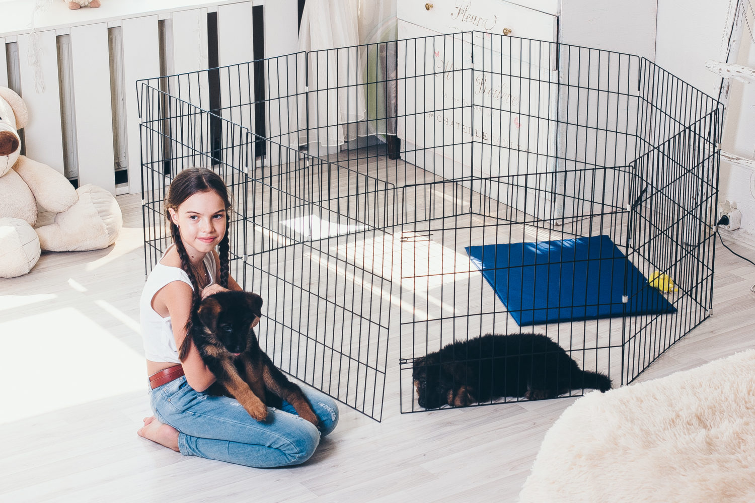 Вольер для собаки в квартиру: домашнее ограждение