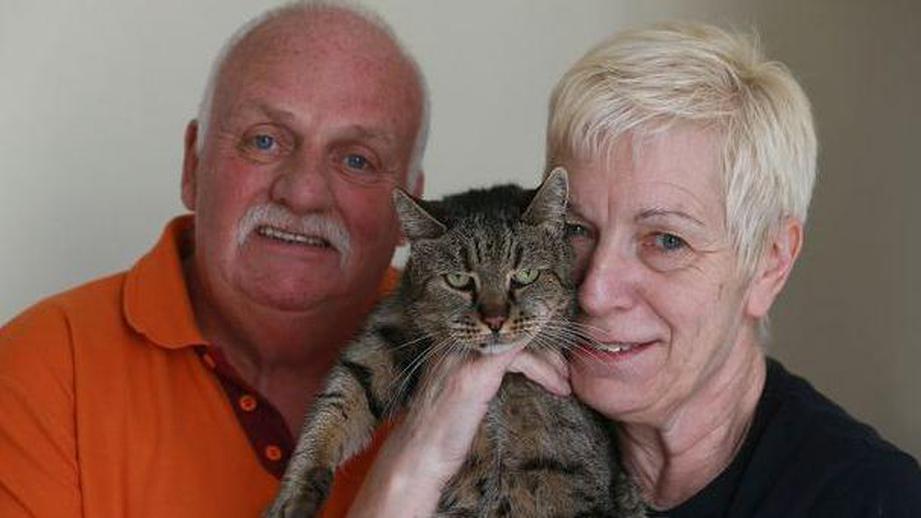 Самый старый кот и кошка: долгожители в мире