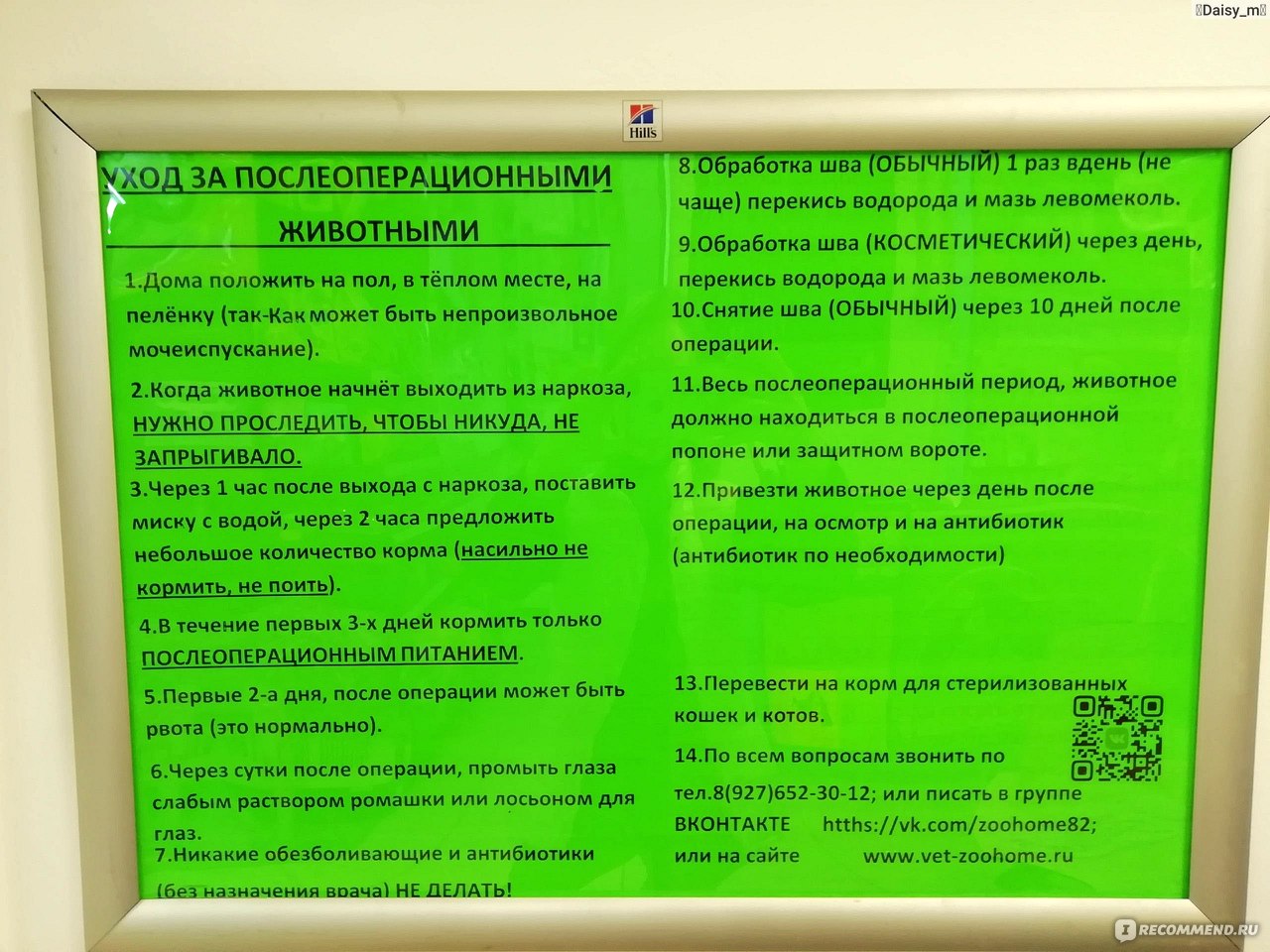 После стерилизации кошки через сколько можно кормить. Чем можно кормить кошку после операции стерилизации. Сколько кормить кошку после стерилизации. Что можно есть после наркоза. Через сколько выходят из наркоза коты.