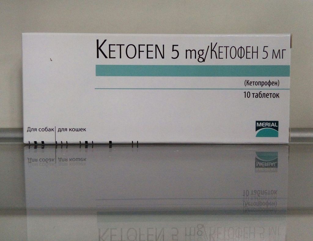 Инструкция по применению препарата Кетофен для кошек
