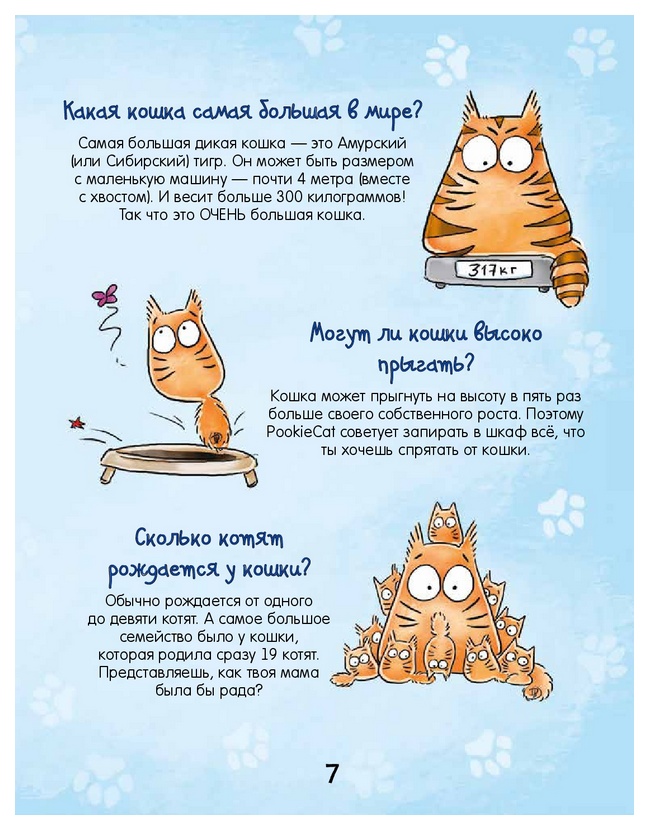 Как и почему кошки мурлыкают