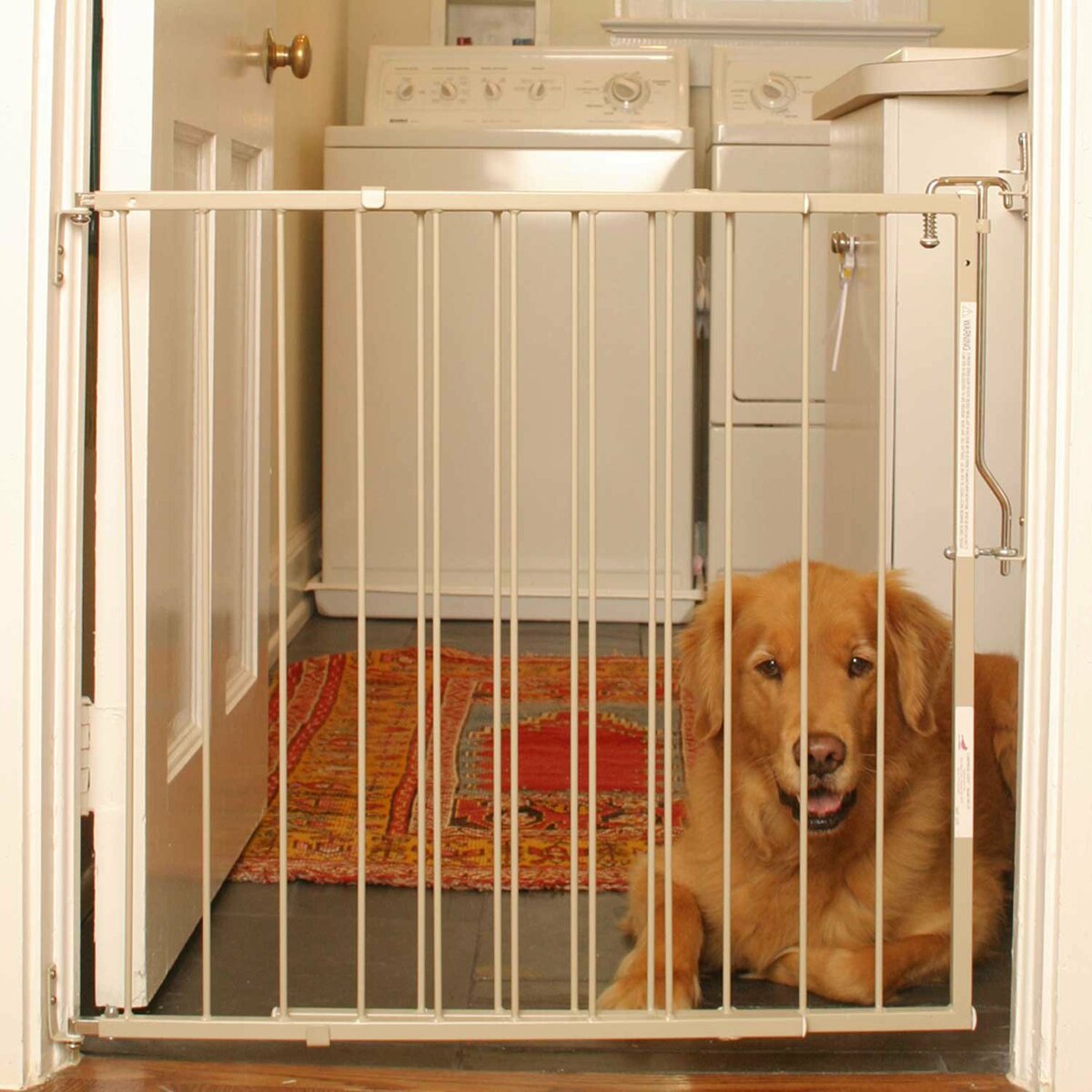 Барьер для собак: перегородка в квартиру