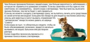 Энтеросгель для кошек: дозировка, как дать, инструкция по применению