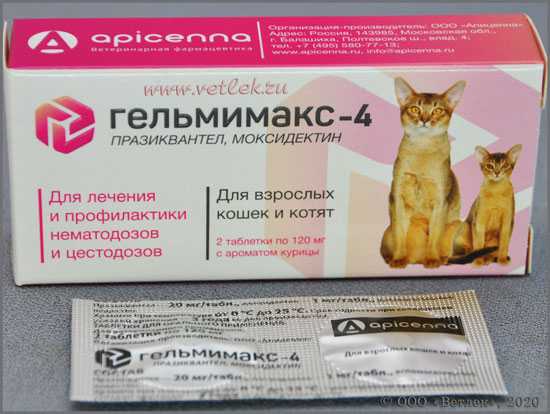 Препарат Гельмимакс: надёжное средство от паразитов у кошек
