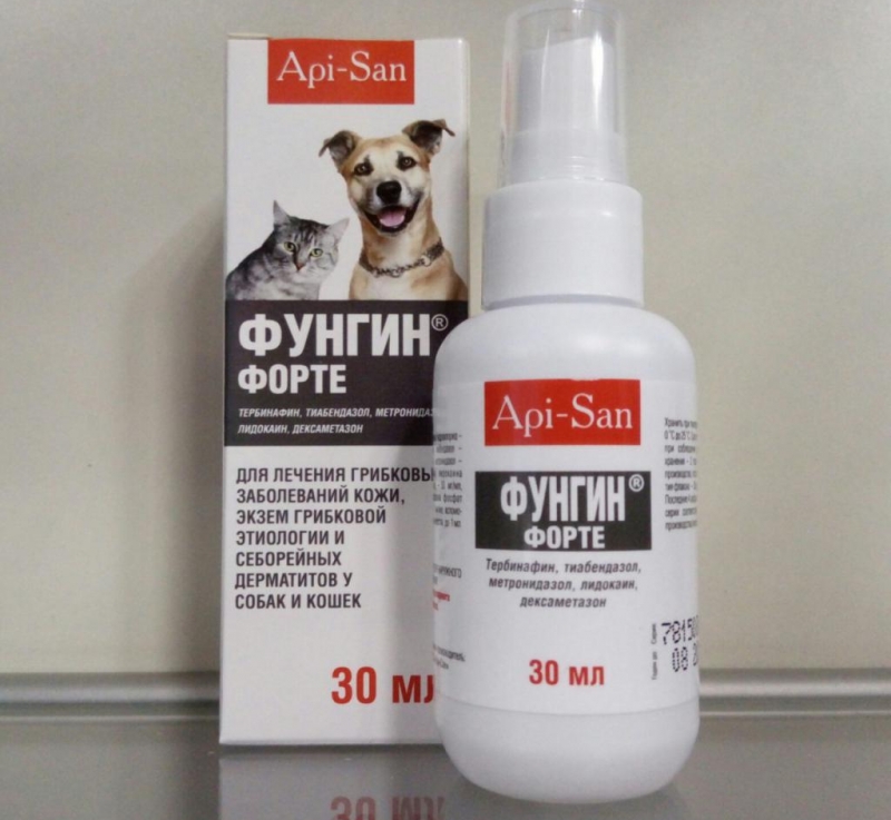 Использование препарата Фунгин Форте для лечения заболеваний кожи у кошек
