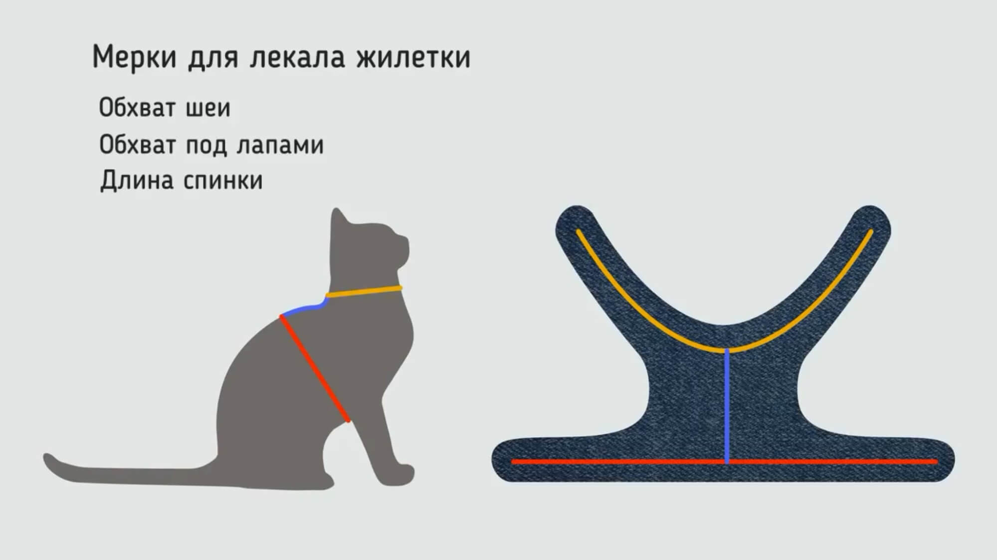 Одежда для кошек: выкройка и шитье своими руками