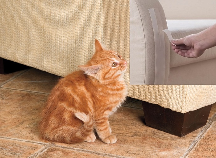 Как отучить кота драть мебель: причины и чем можно побрызгать диван