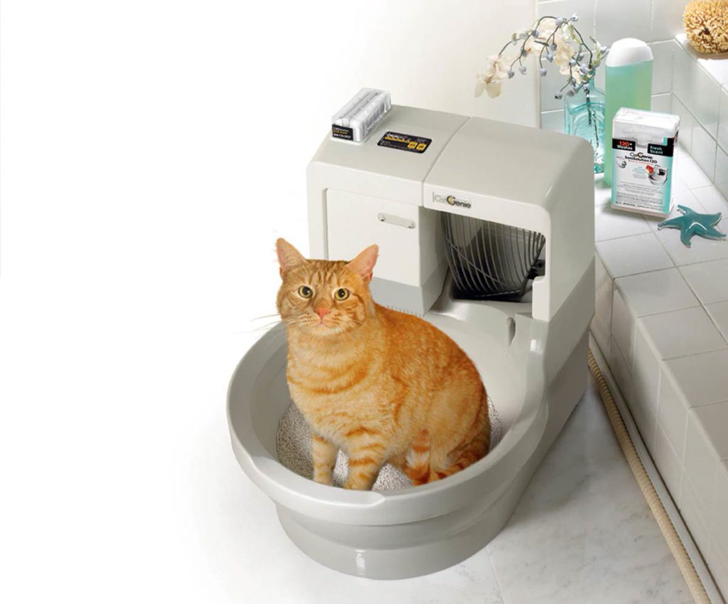 Какой туалет для кошек лучше?