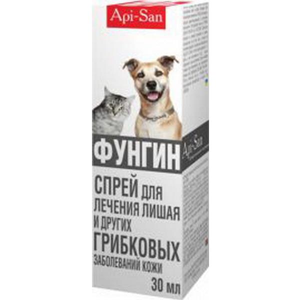 Использование препарата Фунгин Форте для лечения заболеваний кожи у кошек