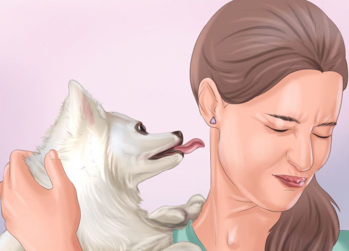 Неприятный запах изо рта собаки