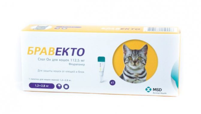 Бравекто для кошек: инструкция, таблетки