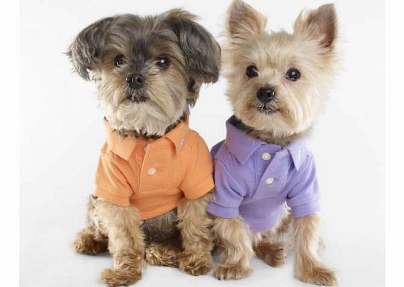 Одежда для собак мелких и средних пород мальчиков и девочек