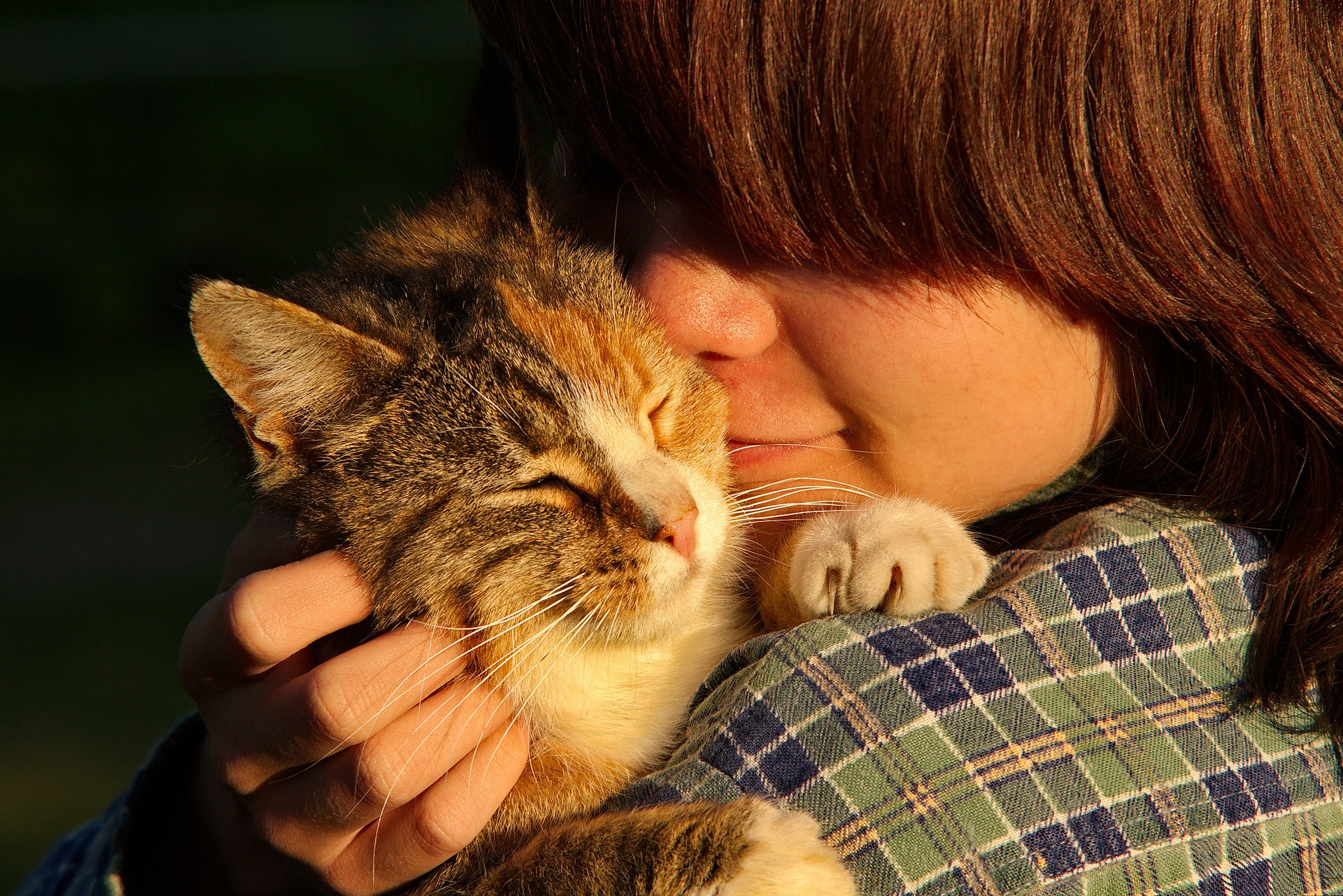 5 действий, которые убедят кошку в вашей любви