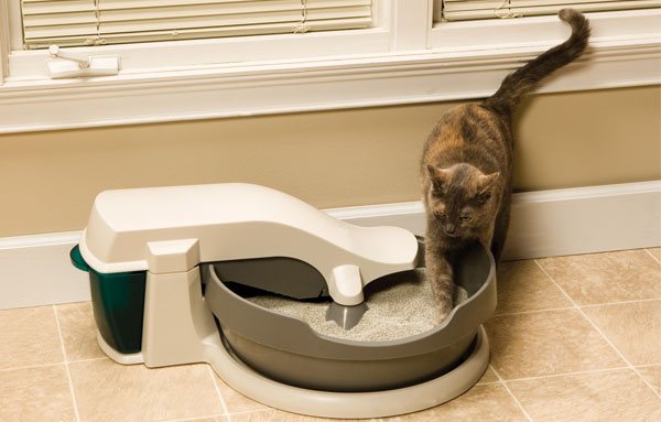 Туалет для кошек: закрытый угловой лоток