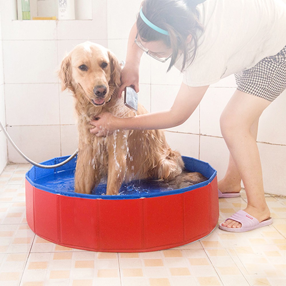 Ванночка для собак. Мойка для собак. Таз для мытья собаки. Приспособление для мытья собак. Ванна для питомцев.