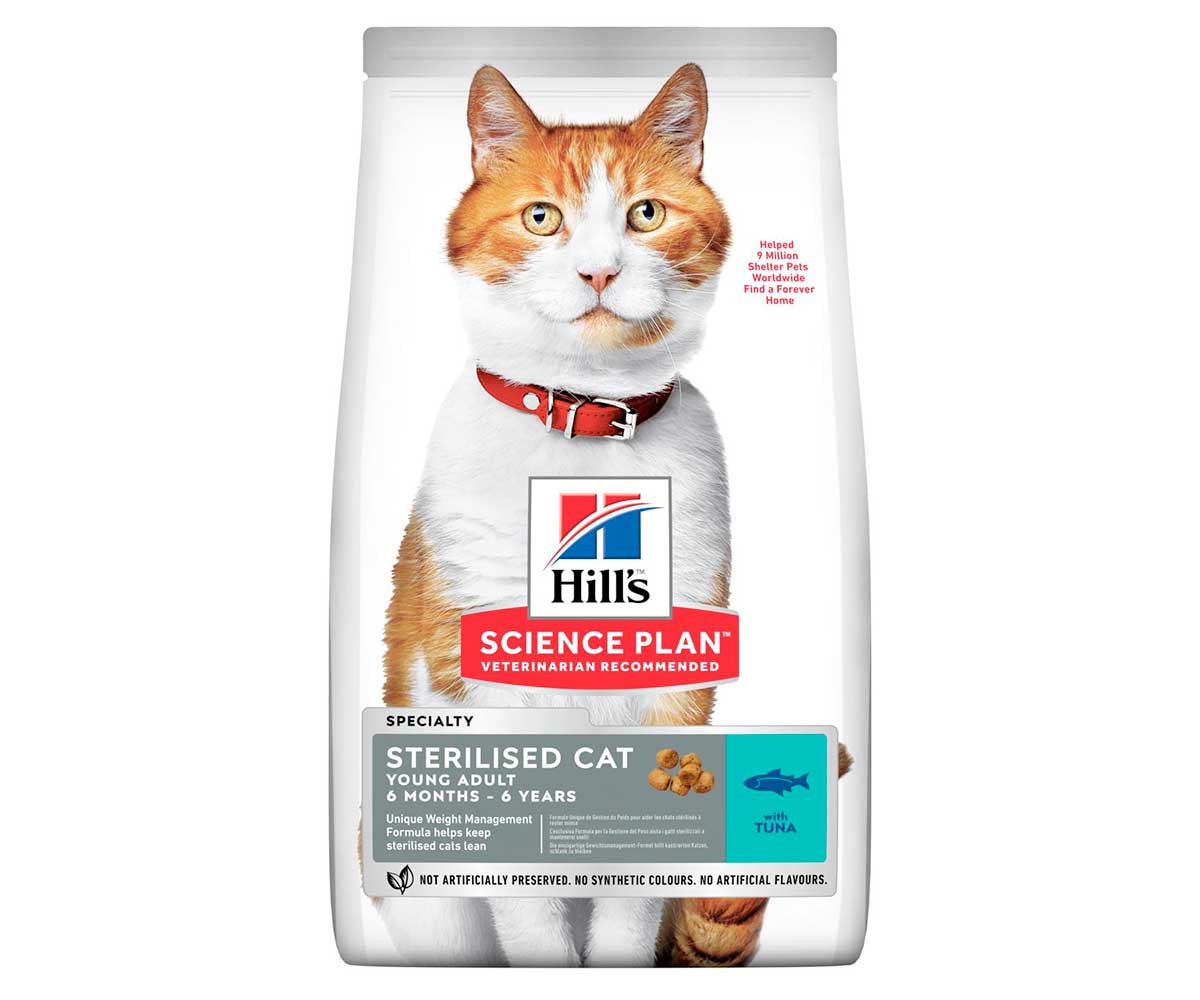Ассортимент и особенности корма для кошек «Хиллс»