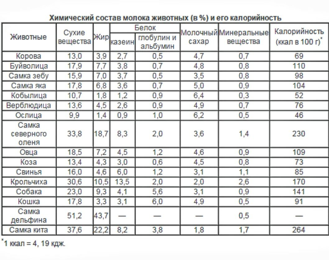 У кого самое жирное молоко. Жирность молока у животных таблица. Состав молока разных животных таблица. Таблица жирности молока коровы. Жирность молока у разных животных таблица.