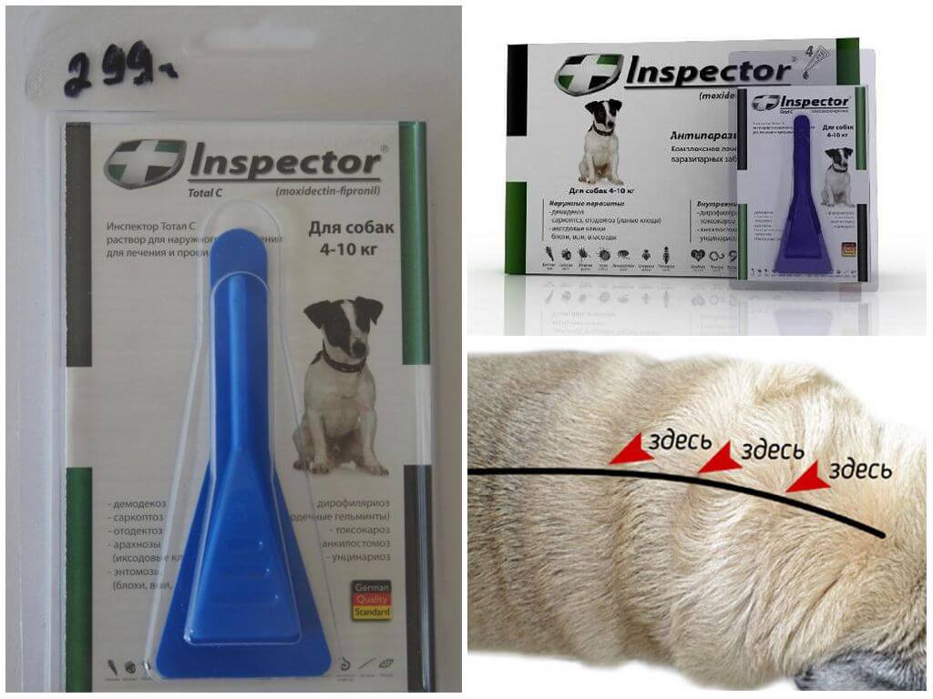 Инспектор для кошек от блох и клещей: состав, как применять, отзывы, аналоги