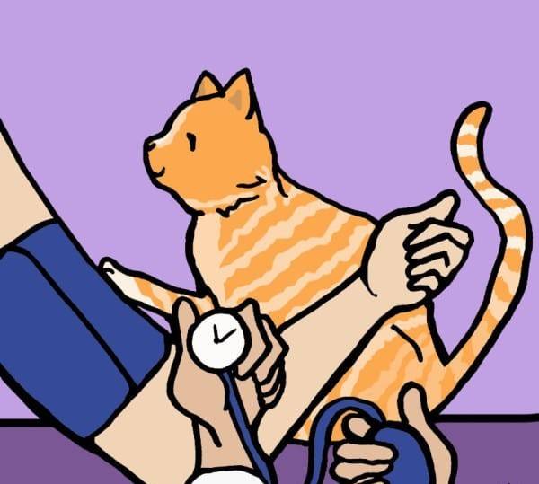 Любовь кошек и людей укрепляет здоровье