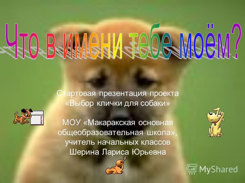 Собачья кличка 6