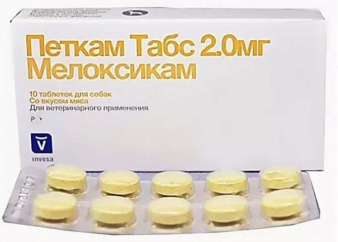 Петкам для собак