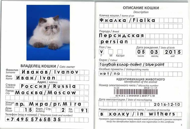 Ветеринарный паспорт для кошки — как получить и заполнить правильно