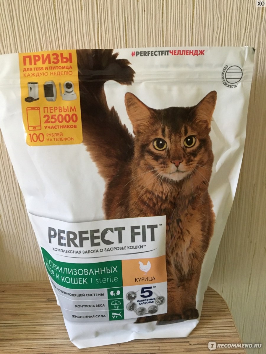 Корм «Перфект Фит» для кошек: может ли продукт стать основой рациона домашнего питомца
