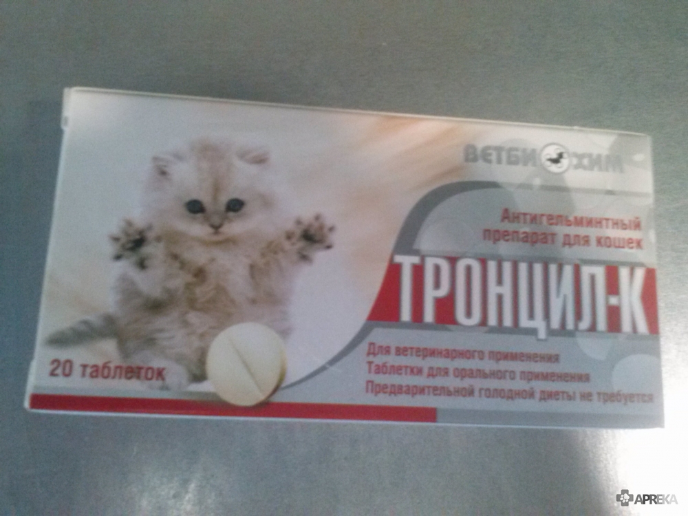 Тронцил-К: эффективное средство от гельминтозов у кошек