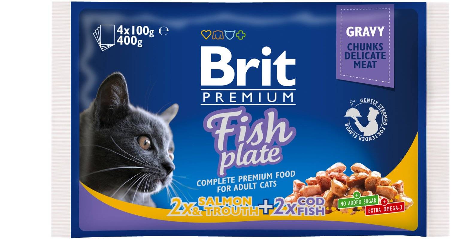 Сухой корм для кошек: рейтинг лучших по мнению ветеринаров