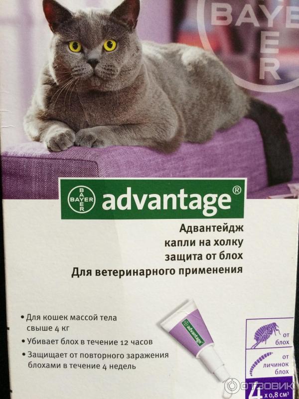 Адвантейдж для кошек: инструкция по применению