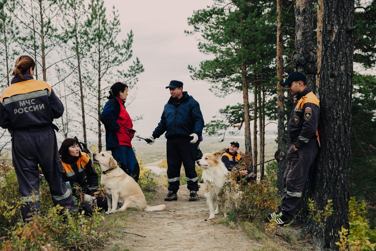 Собаки спасатели на воде и в горах: породы водолазы
