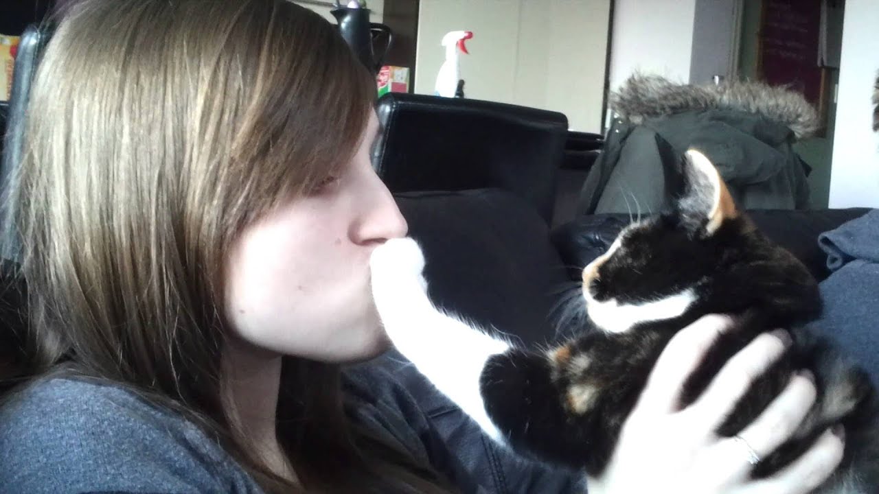 Почему нельзя целовать кошек и понимают ли они поцелуи