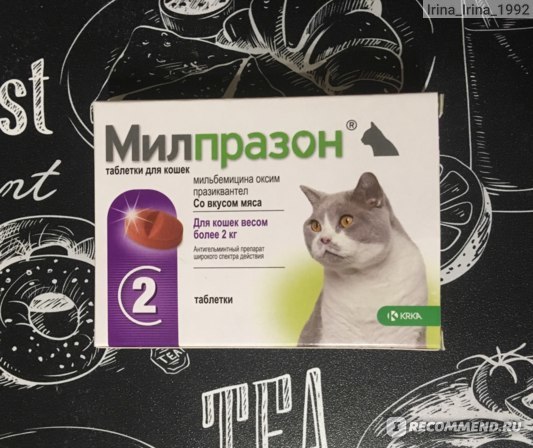 Милпразон для кошек: инструкция по применению