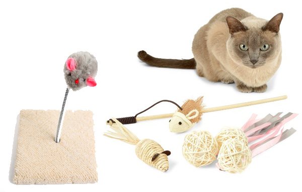 Как подобрать игрушки для кошки